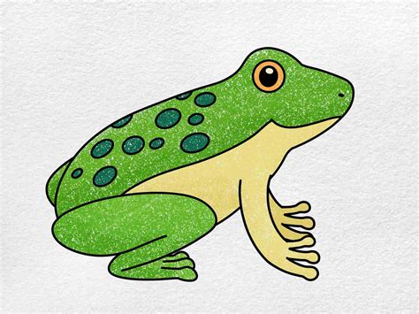 1. Instruction on how to draw a simple frog for kids. Hello! Today. drawing123.com will show you how to draw a simple and cute frog! ... Let's start! ... Step 1:.